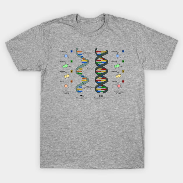 DNA Theory T-Shirt by MomoTEE